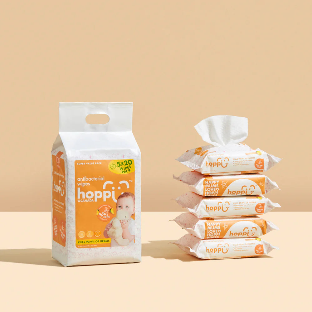 Antibacterial Wipes (20 wipes x5)