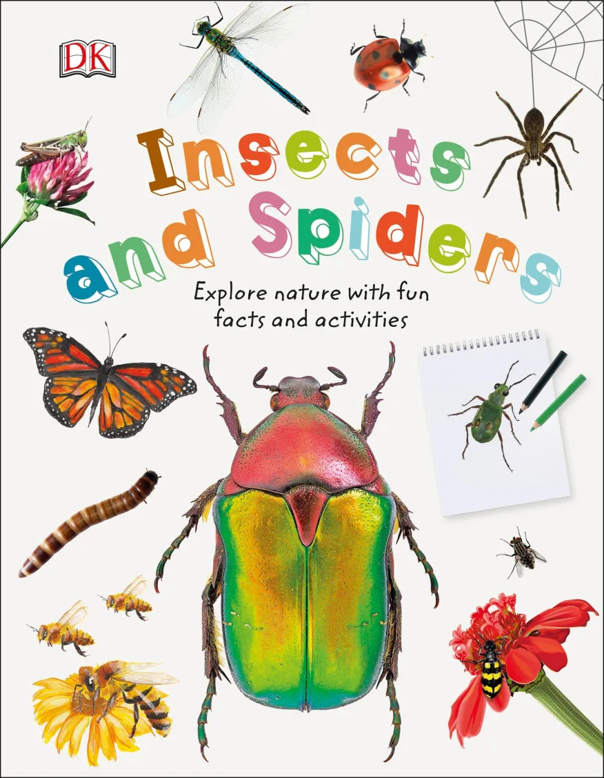 Insects and Spiders – Allomama Brunei