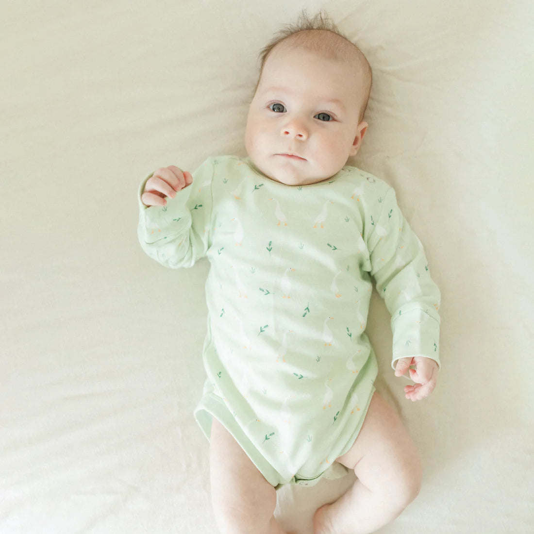 Goose Gander - Organic Long Sleeve Bodysuit