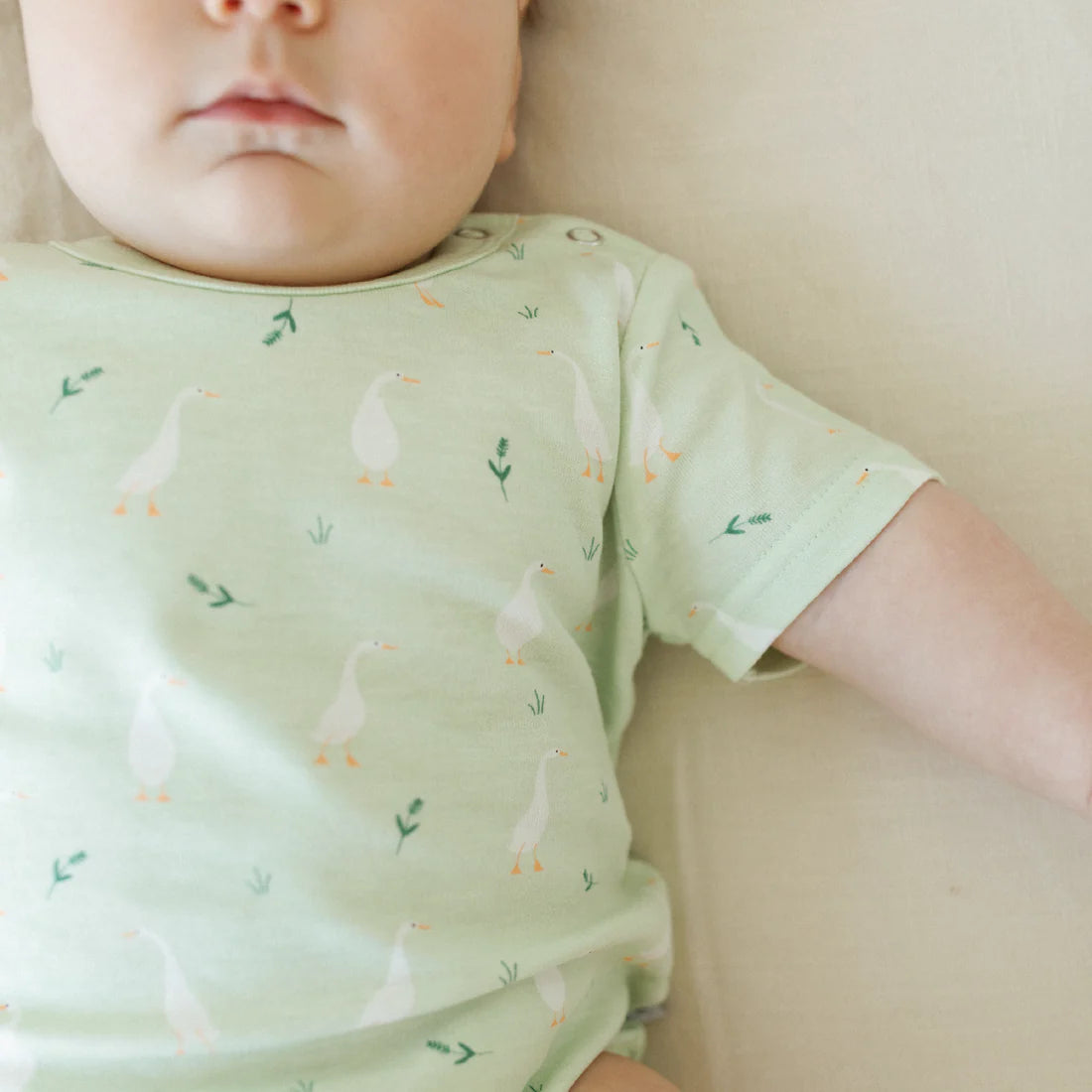 Goosy Gander - Organic Short Sleeve Bodysuit