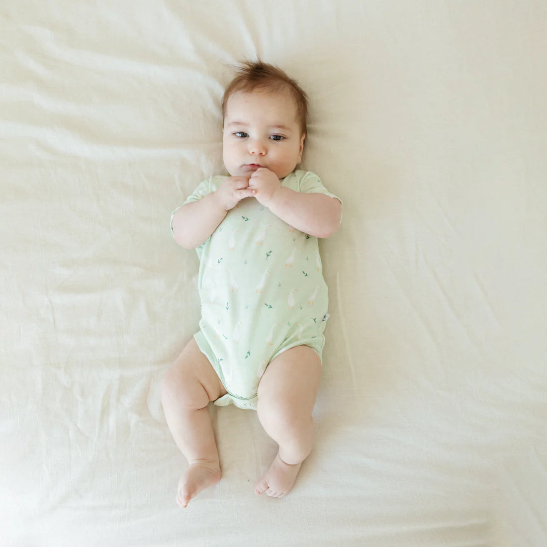 Goosy Gander - Organic Short Sleeve Bodysuit