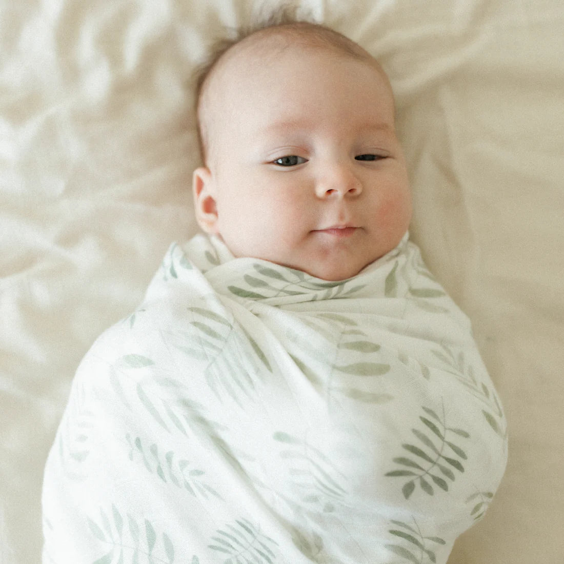 Fern Frenzy - Organic Bamboo Swaddle