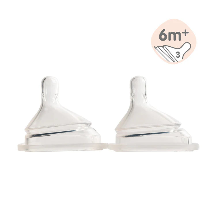 Hegen Teat Fast Flow, 2-Pack (6 months and beyond)