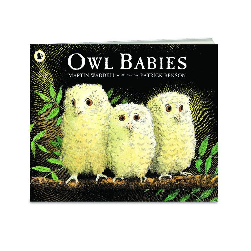 Owl Babies