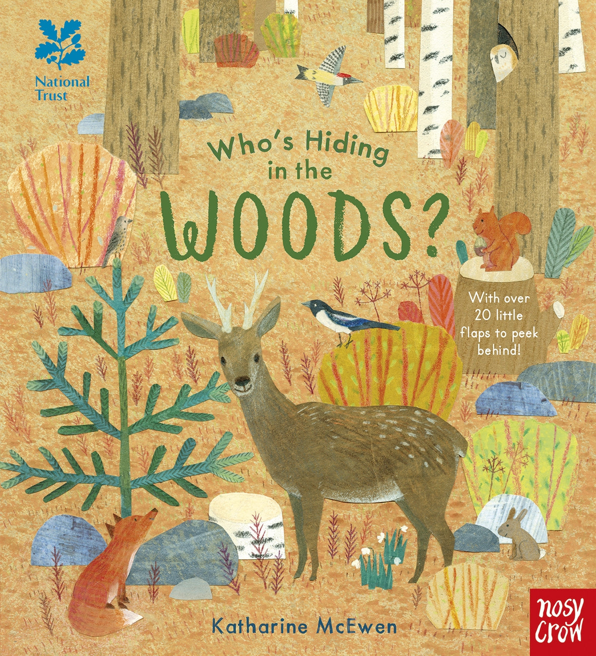 Nosy Crow: Who’s Hiding in the Woods?